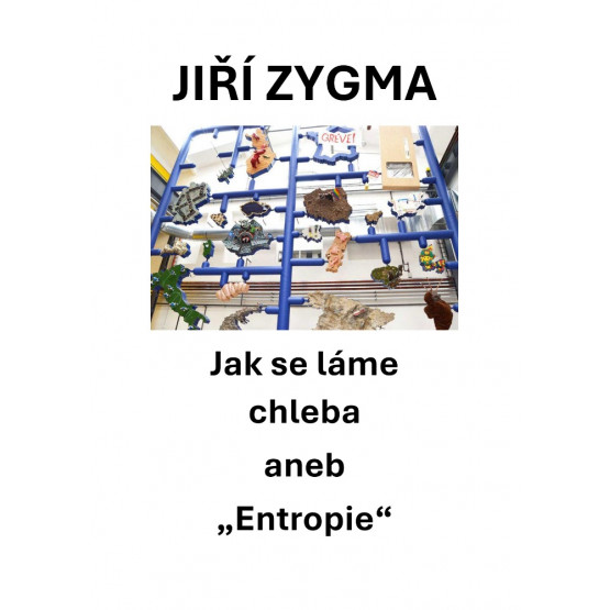 Jak se láme chleba aneb Entropie