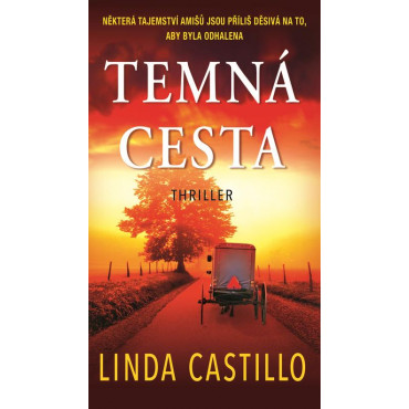 Temná cesta