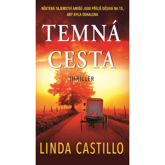 Temná cesta