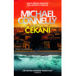 Čekání