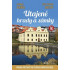 Utajené hrady a zámky IV.