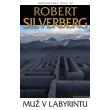 Muž v labyrintu