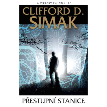 Přestupní stanice