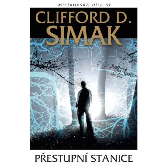 Přestupní stanice