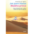 Jak jsem hledal Malého prince