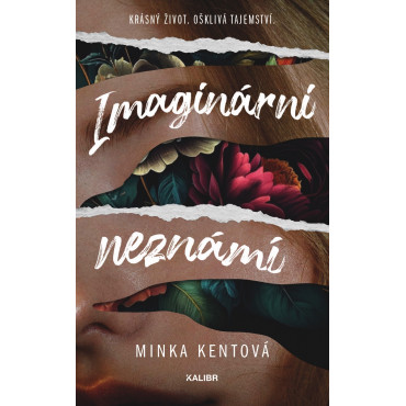 Imaginární neznámí