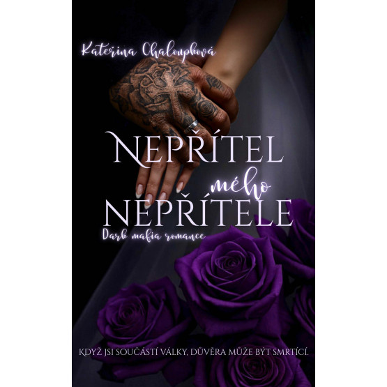 Nepřítel mého nepřítele