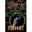 Prefekt