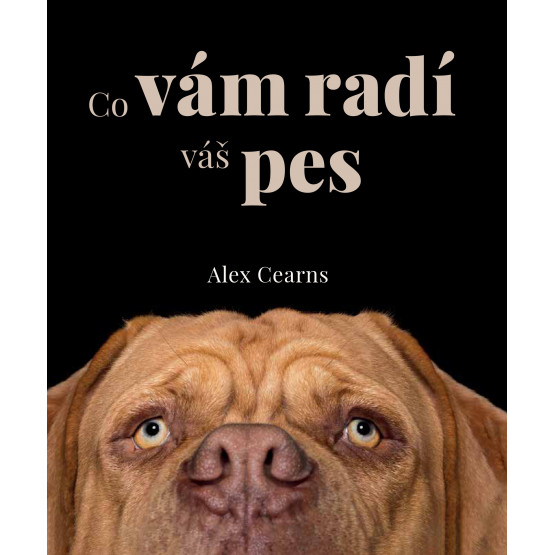Co vám radí váš pes
