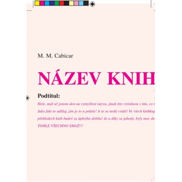 Kniha povídek