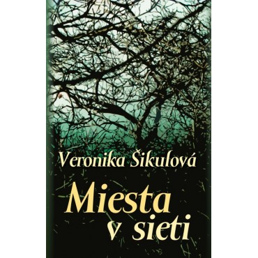 Miesta v sieti