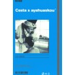 Cesta s Ayahuaskou