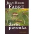Život pavouka