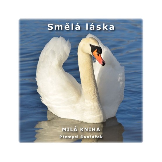 Smělá láska